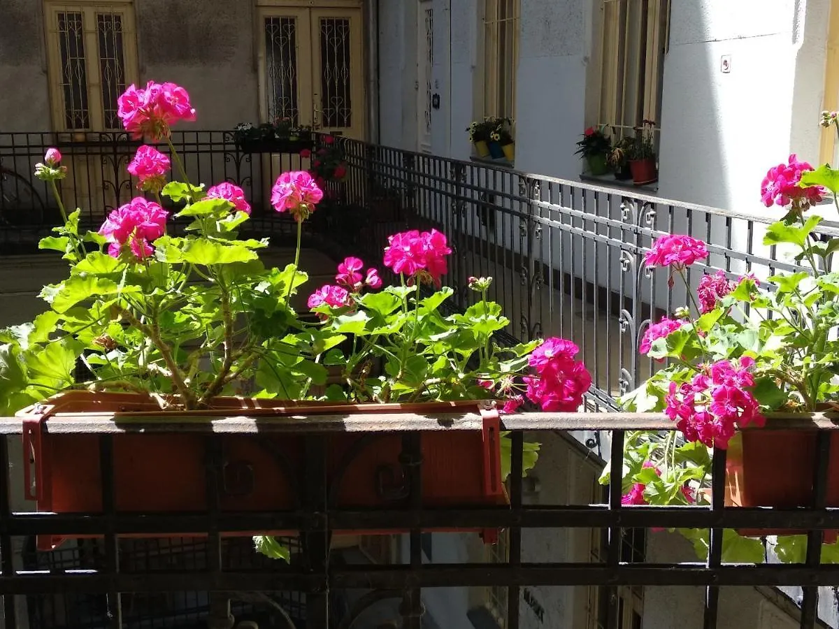 A Quiet Place In The Heart Of The City Budapest Hungary